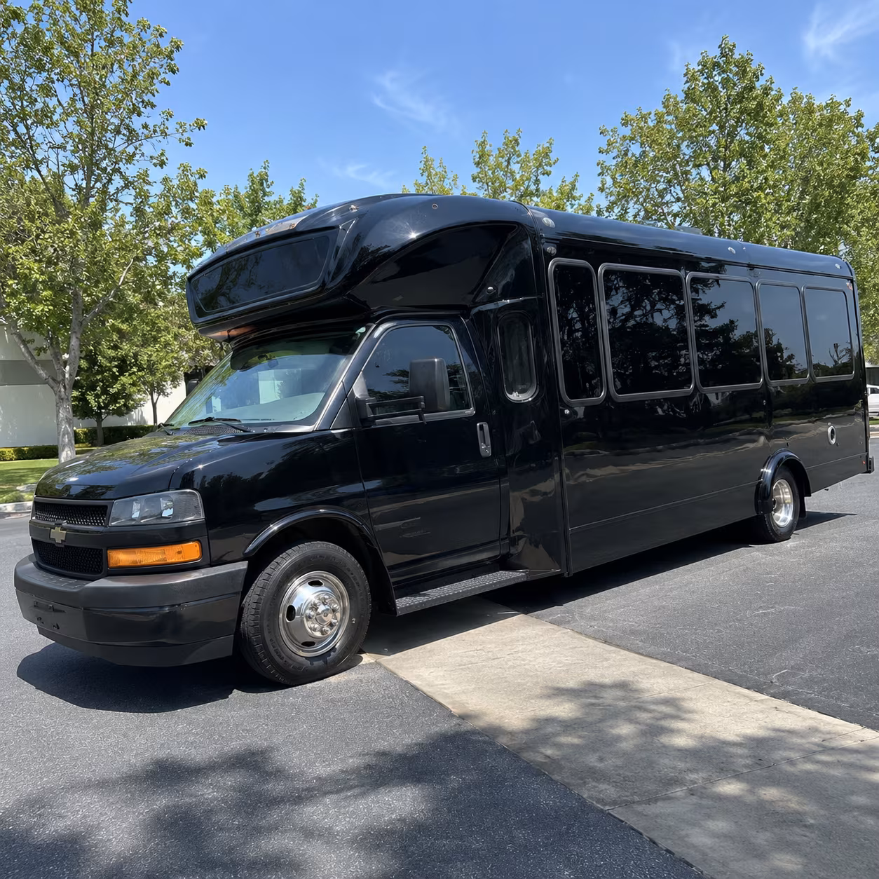 desoto 15 passenger party bus